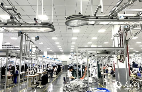 三明产业观察 一条条 链 背后,藏着老区发展何种 脉络