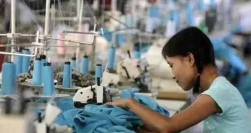 讲一个扎心的真相 国家一直都在照顾底层,而底层却在天天骂国家