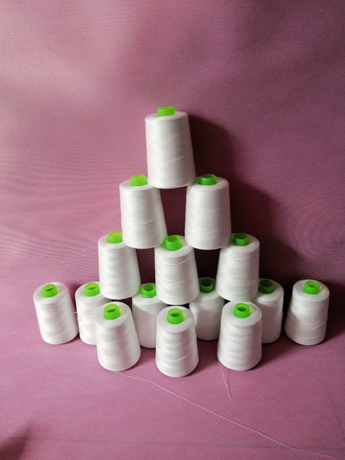 涤纶缝纫线报价 厂家