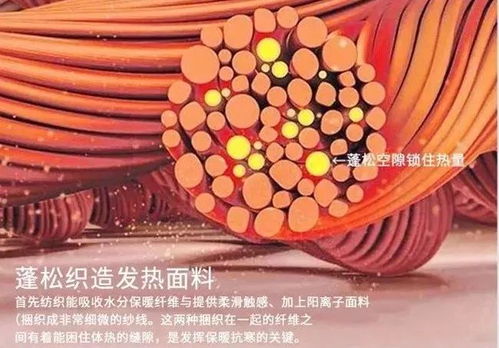 简单好看的冬季穿搭 显瘦又高级 时髦到爆