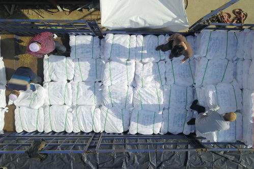 社会 产自扶贫车间的超千吨涤纶缝纫线远销海外