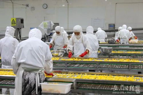 加快建设 七个强省 ⑧ 做好 粮头食尾 畜头肉尾 农头工尾 增值大文章