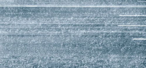 提前防汛布置 演练 新乡化纤抗灾记